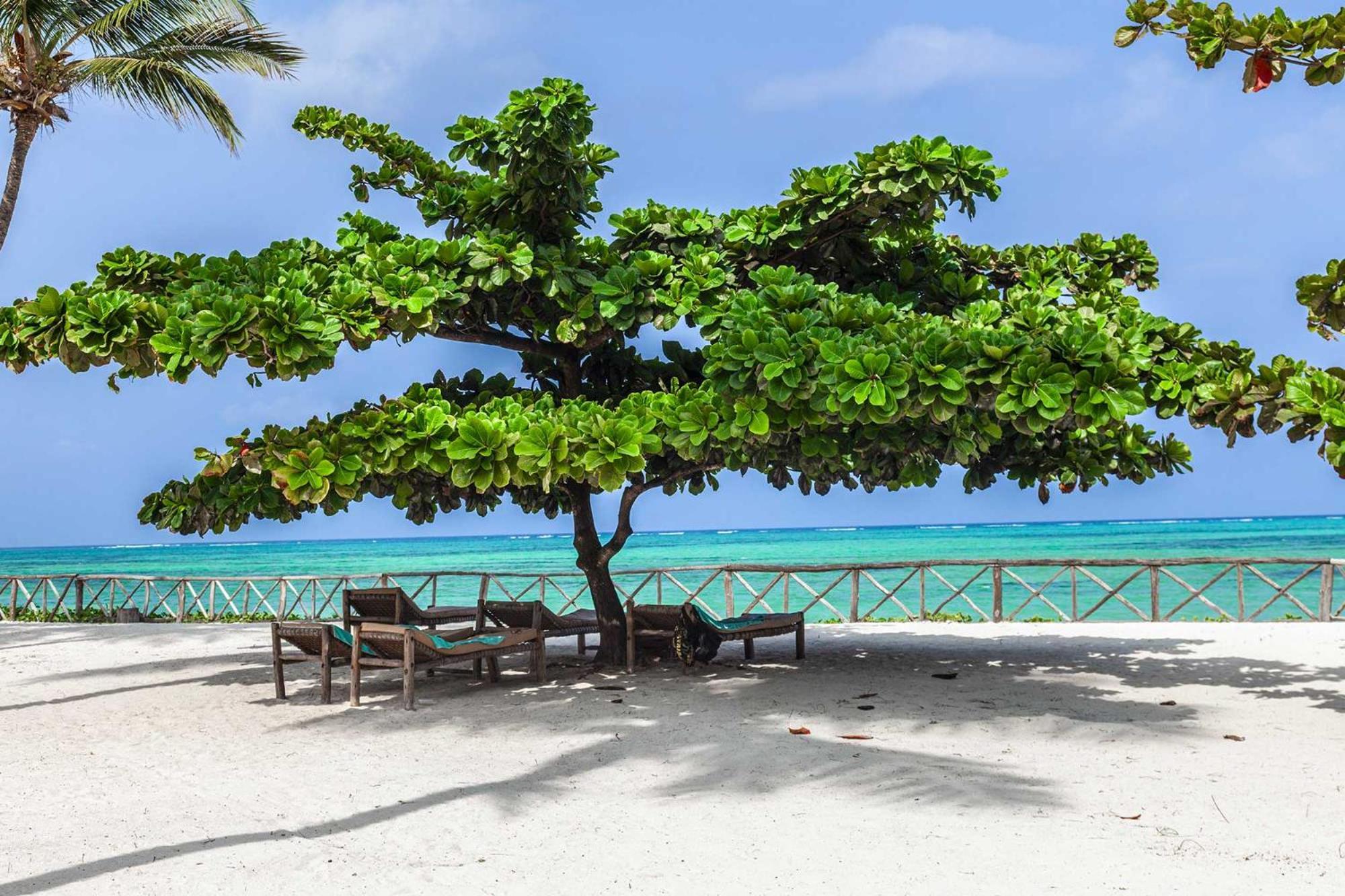 Vrclub Paje Palms Beach Resort Ngoại thất bức ảnh